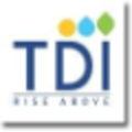 tdi infratech ltd