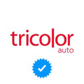 tricolor auto group llc