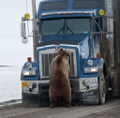 carlile transportation