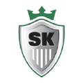 steel king industries inc