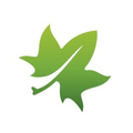 greenzone cleaning support services