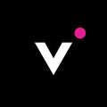 vivid property services