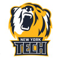 new york institute of technology
