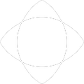 spectranetics