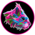 flying squirrel sports