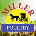 miller amish country poultry