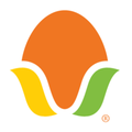rembrandt foods
