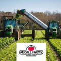 mccall farms inc