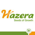 hazera seeds