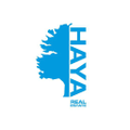 haya real estate