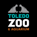the toledo zoo aquarium