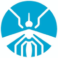 world mosquito program wmp