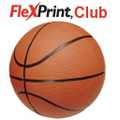 flexprint flex technology group