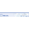 medical action industries