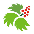 southeast alaska regional health consortium searhc