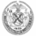 new york city council