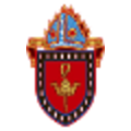 newcastle anglican
