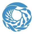 monterey bay aquarium