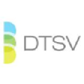 dtsv inc