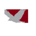 ravn alaska