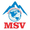 msv international inc