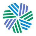 cfa institute