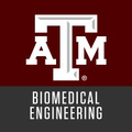 texas am university department of biomedical engineering