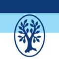 thieme international