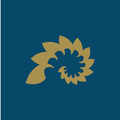 naples grande beach resort