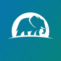 elephant insurance