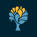 spring venture group