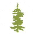oregon department of revenue