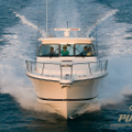 pursuit boats