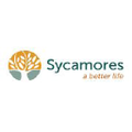 sycamores
