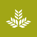 Northeast Georgia Physicians Group Logo