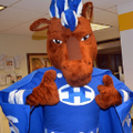 horseheads central school district