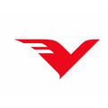 vision india services pvt ltd