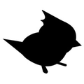 titmouse