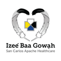 san carlos apache healthcare corporation