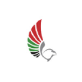 uae general civil aviation authority gcaa