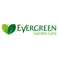 evergreen garden care