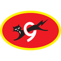 eveready industries india ltd