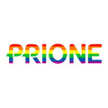 prione business services pvt ltd prione