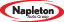 napleton auto group