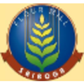 sriboga flour mill