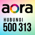 pt karya megah adijaya aora tv