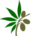 mensura