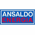 ansaldo nuclear