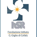fondazione istituto san raffaele g giglio di cefalu