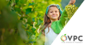 vida produce company